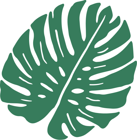 unnamed image