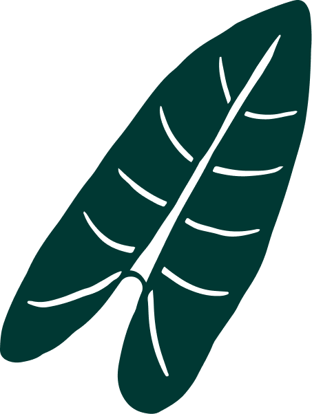 unnamed image